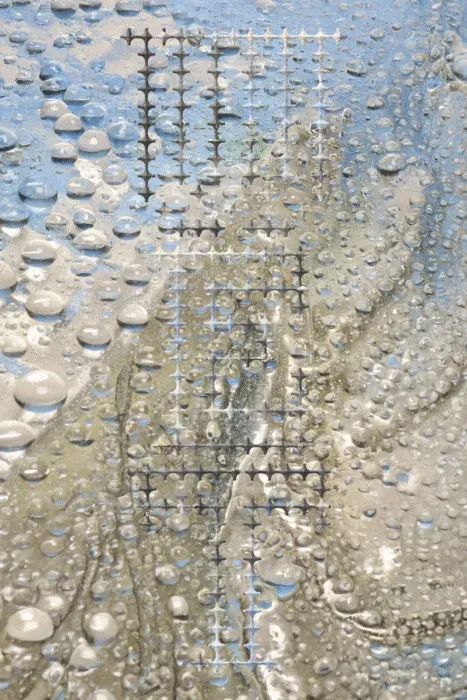 GEMZ — WET