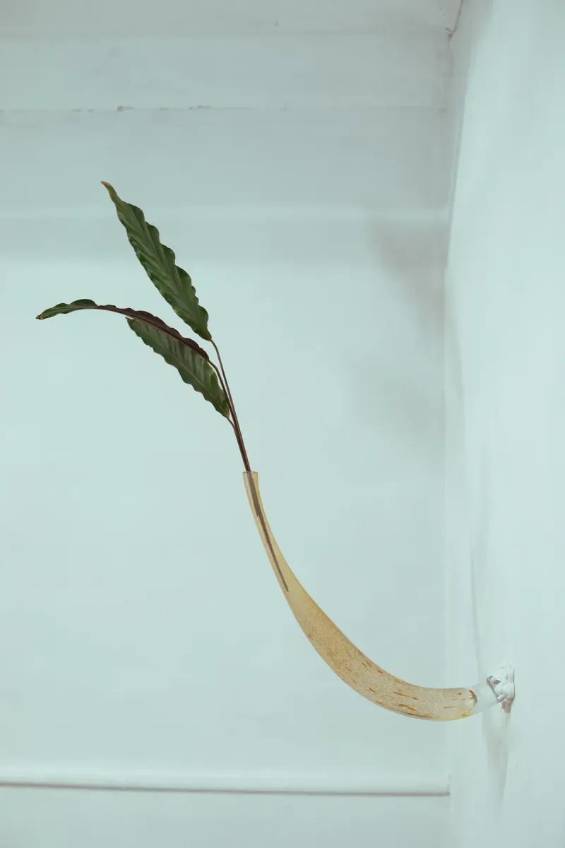 Glass also Blossoms — 3